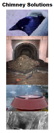 Solving chimney problems is what we do, birds, smoking chimney, Damp, downdraft